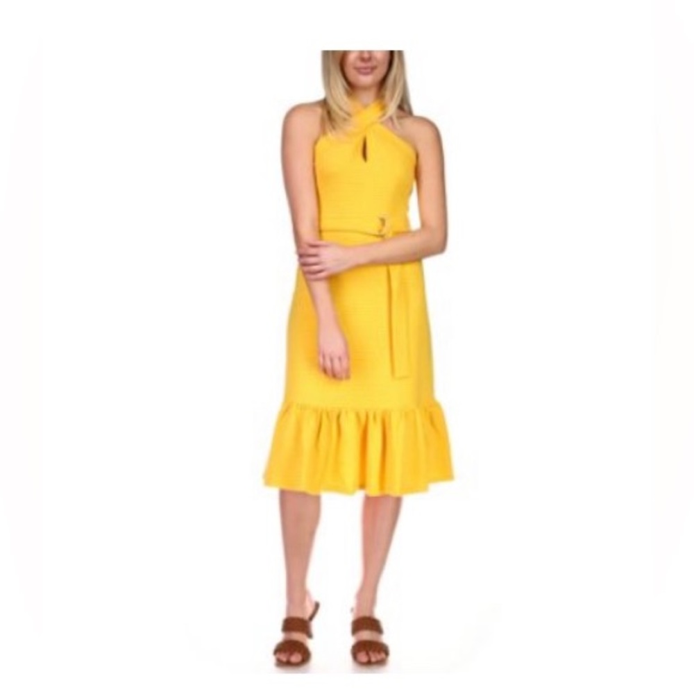Michael Kors
Michael Belted Striped Midi
Dress
Jasmine Yellow